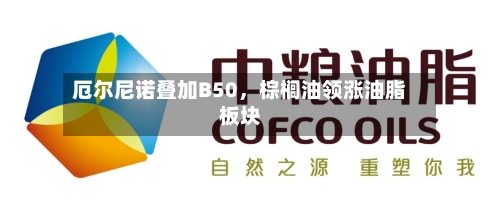 厄尔尼诺叠加B50	，棕榈油领涨油脂板块-第2张图片