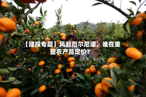 【建投专题】风起厄尔尼诺，谁在重塑农产品定价？-第1张图片