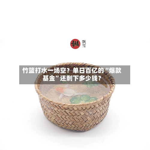 竹篮打水一场空？单日百亿的“爆款基金	”还剩下多少钱？-第1张图片