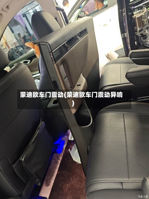 蒙迪欧车门震动(蒙迪欧车门震动异响)-第2张图片