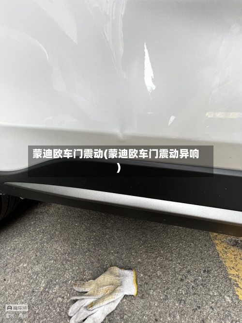 蒙迪欧车门震动(蒙迪欧车门震动异响)-第1张图片