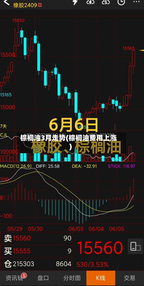 棕榈油3月走势(棕榈油费用上涨)-第2张图片