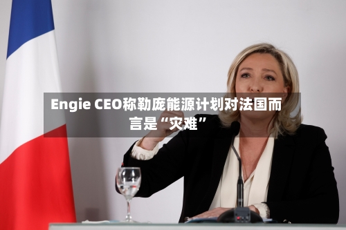 Engie CEO称勒庞能源计划对法国而言是“灾难”-第3张图片