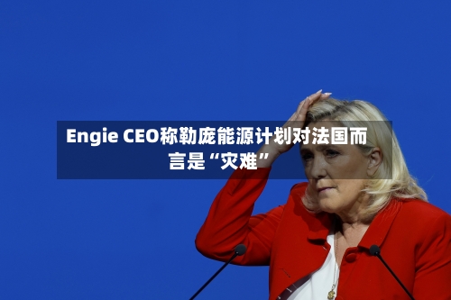 Engie CEO称勒庞能源计划对法国而言是“灾难”-第1张图片