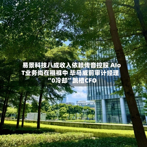 易景科技八成收入依赖传音控股 AIoT业务尚在襁褓中 毕马威前审计经理“0冷却”跳槽CFO-第2张图片