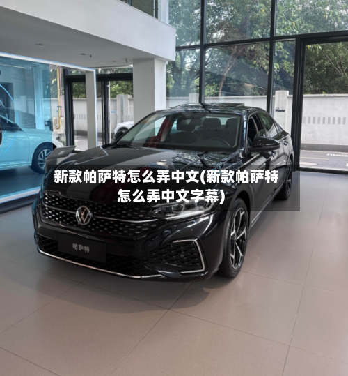 新款帕萨特怎么弄中文(新款帕萨特怎么弄中文字幕)-第2张图片