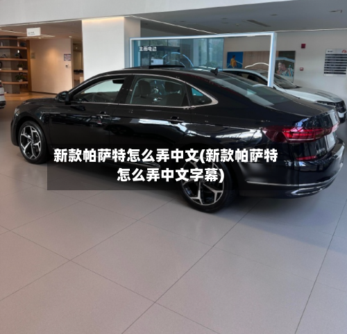 新款帕萨特怎么弄中文(新款帕萨特怎么弄中文字幕)-第1张图片