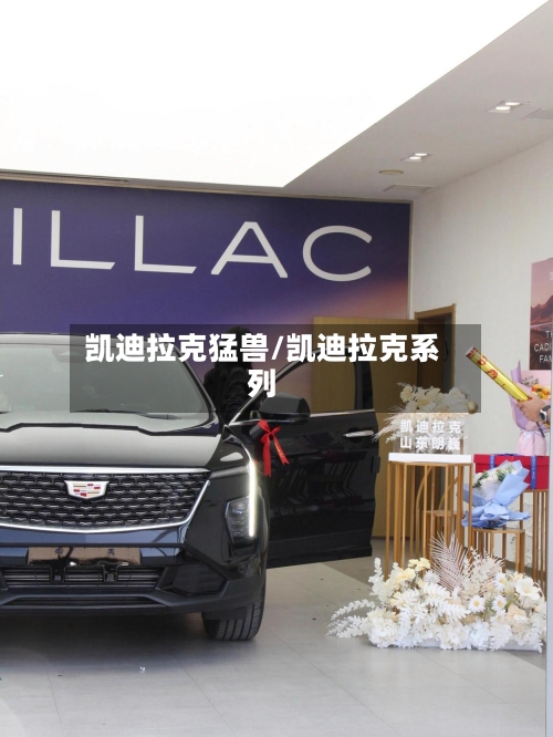 凯迪拉克猛兽/凯迪拉克系列-第1张图片