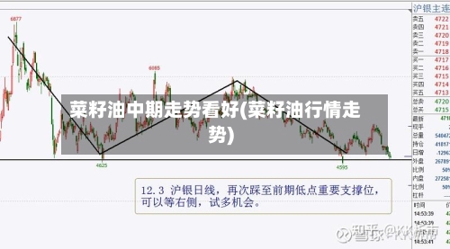 菜籽油中期走势看好(菜籽油行情走势)-第1张图片