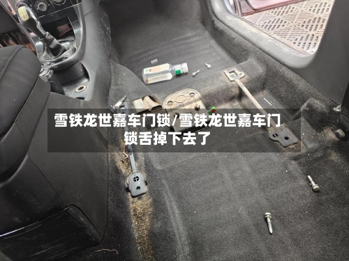 雪铁龙世嘉车门锁/雪铁龙世嘉车门锁舌掉下去了-第1张图片