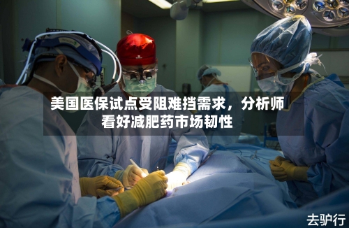 美国医保试点受阻难挡需求，分析师看好减肥药市场韧性-第2张图片