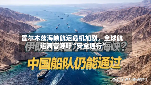 霍尔木兹海峡航运危机加剧，全球航运高管呼吁“安全通行	”-第3张图片