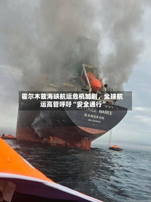 霍尔木兹海峡航运危机加剧	，全球航运高管呼吁“安全通行”-第2张图片