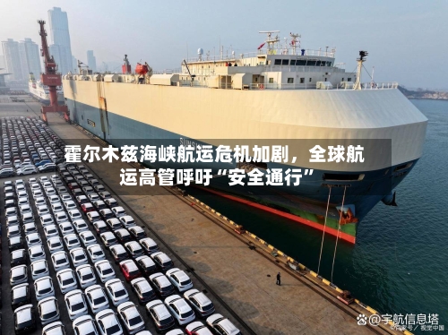 霍尔木兹海峡航运危机加剧，全球航运高管呼吁“安全通行”-第1张图片