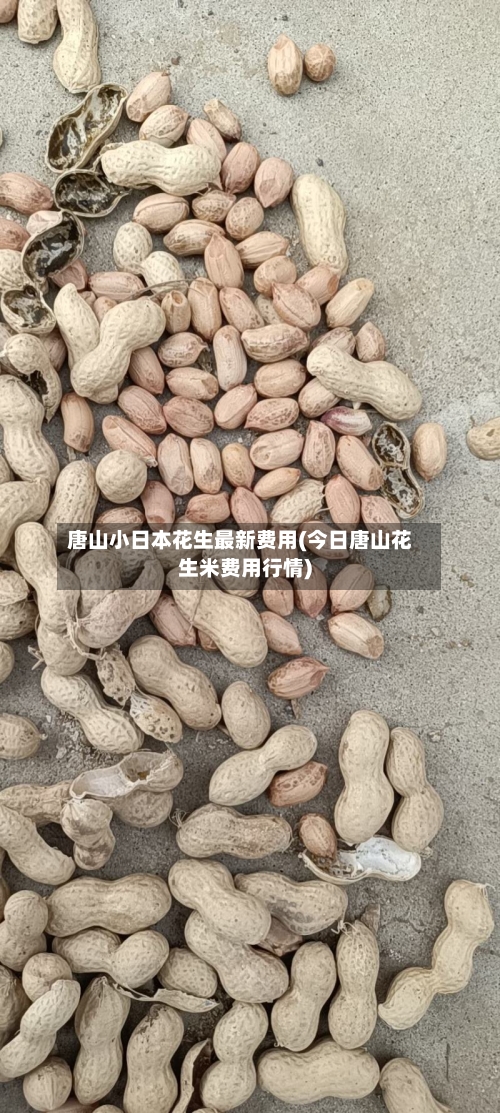 唐山小日本花生最新费用(今日唐山花生米费用行情)-第2张图片