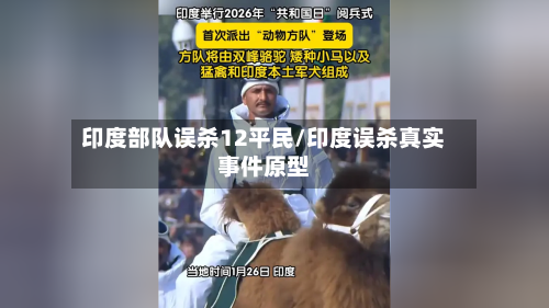 印度部队误杀12平民/印度误杀真实事件原型-第1张图片