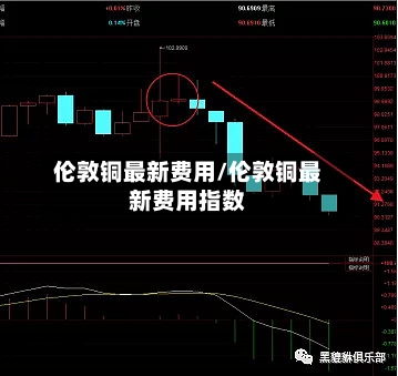 伦敦铜最新费用/伦敦铜最新费用指数-第2张图片