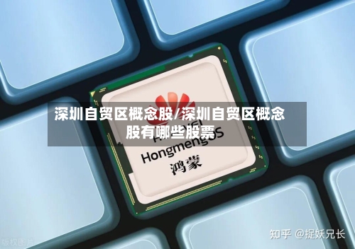深圳自贸区概念股/深圳自贸区概念股有哪些股票-第2张图片