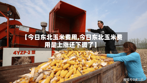 【今日东北玉米费用,今日东北玉米费用是上涨还下调了】-第1张图片