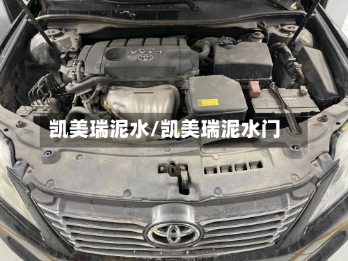凯美瑞泥水/凯美瑞泥水门-第2张图片