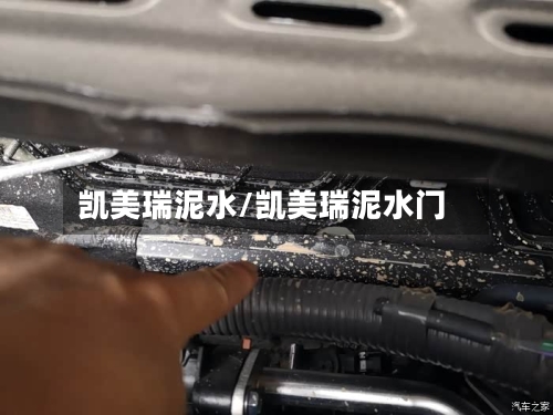 凯美瑞泥水/凯美瑞泥水门-第1张图片