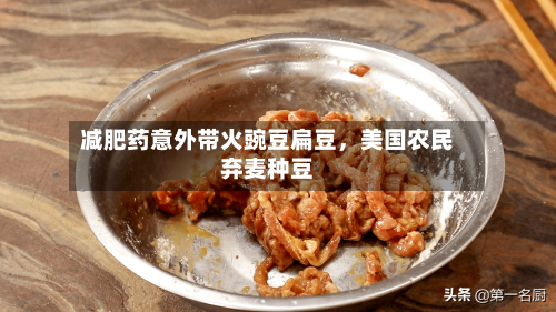 减肥药意外带火豌豆扁豆，美国农民弃麦种豆-第1张图片