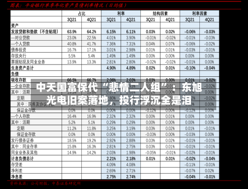 中天国富保代 “悲情二人组	” ：东旭光电旧案落地，投行浮沉全是泪-第1张图片