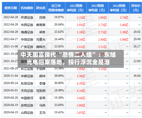 中天国富保代 “悲情二人组” ：东旭光电旧案落地，投行浮沉全是泪-第2张图片