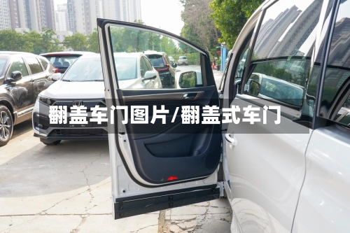 翻盖车门图片/翻盖式车门-第1张图片