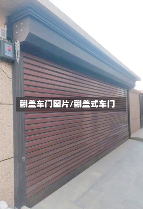 翻盖车门图片/翻盖式车门-第2张图片