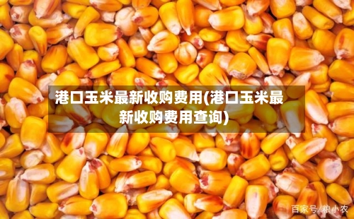 港口玉米最新收购费用(港口玉米最新收购费用查询)-第1张图片
