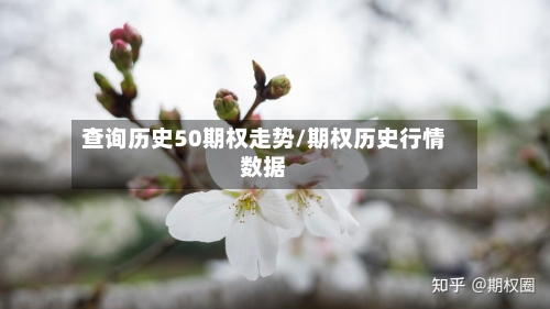 查询历史50期权走势/期权历史行情数据-第1张图片