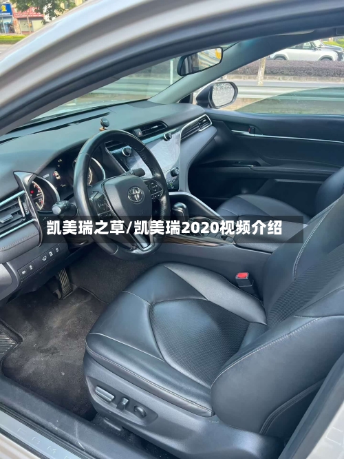 凯美瑞之草/凯美瑞2020视频介绍-第1张图片