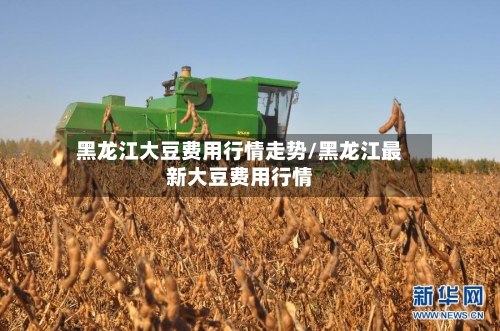 黑龙江大豆费用行情走势/黑龙江最新大豆费用行情-第2张图片