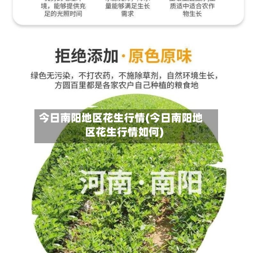 今日南阳地区花生行情(今日南阳地区花生行情如何)-第3张图片