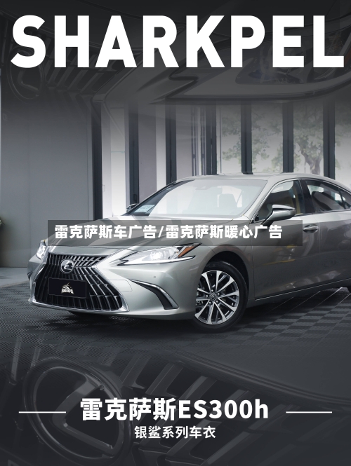 雷克萨斯车广告/雷克萨斯暖心广告-第2张图片