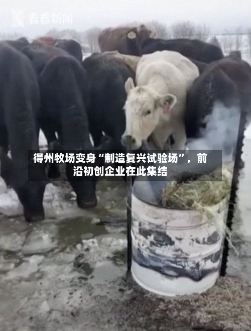 得州牧场变身“制造复兴试验场”	，前沿初创企业在此集结-第1张图片