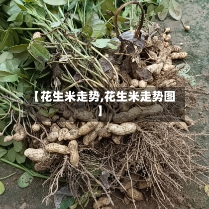 【花生米走势,花生米走势图】-第3张图片