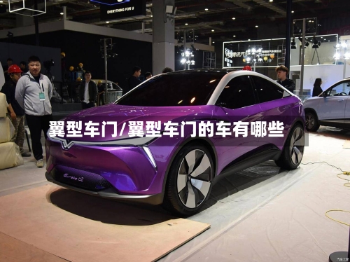 翼型车门/翼型车门的车有哪些-第2张图片