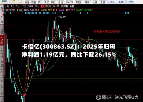 卡倍亿(300863.SZ)：2025年归母净利润1.19亿元，同比下降26.15%-第1张图片