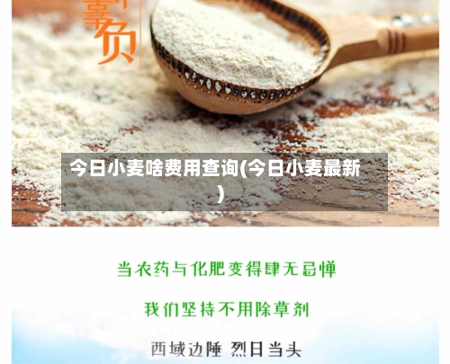 今日小麦啥费用查询(今日小麦最新)-第1张图片