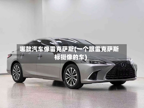 哪款汽车像雷克萨斯(一个跟雷克萨斯标挺像的车)-第1张图片