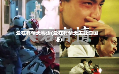 爱在有情天粤语(爱在有情天主题曲国语)-第1张图片