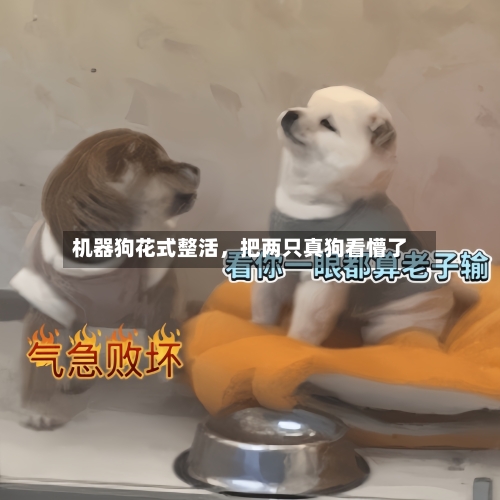 机器狗花式整活，把两只真狗看懵了-第1张图片