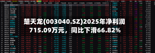 楚天龙(003040.SZ)2025年净利润715.09万元	，同比下滑66.82%-第1张图片