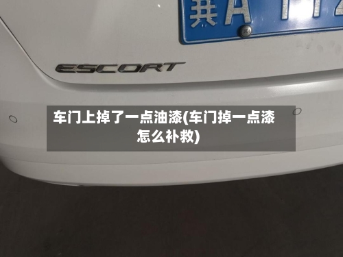 车门上掉了一点油漆(车门掉一点漆怎么补救)-第2张图片