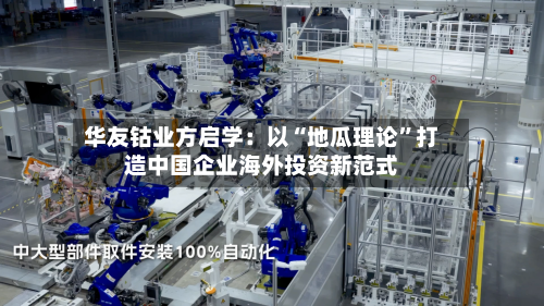 华友钴业方启学：以“地瓜理论”打造中国企业海外投资新范式-第3张图片