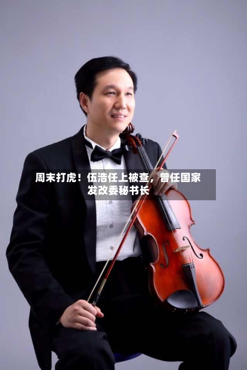 周末打虎！伍浩任上被查	，曾任国家发改委秘书长-第1张图片