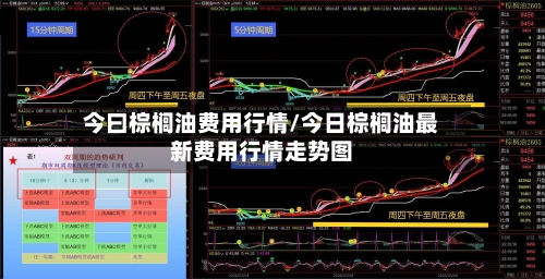 今曰棕榈油费用行情/今日棕榈油最新费用行情走势图-第2张图片