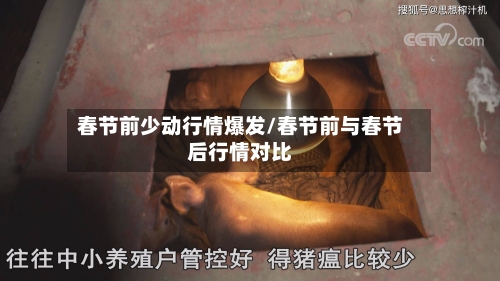 春节前少动行情爆发/春节前与春节后行情对比-第1张图片